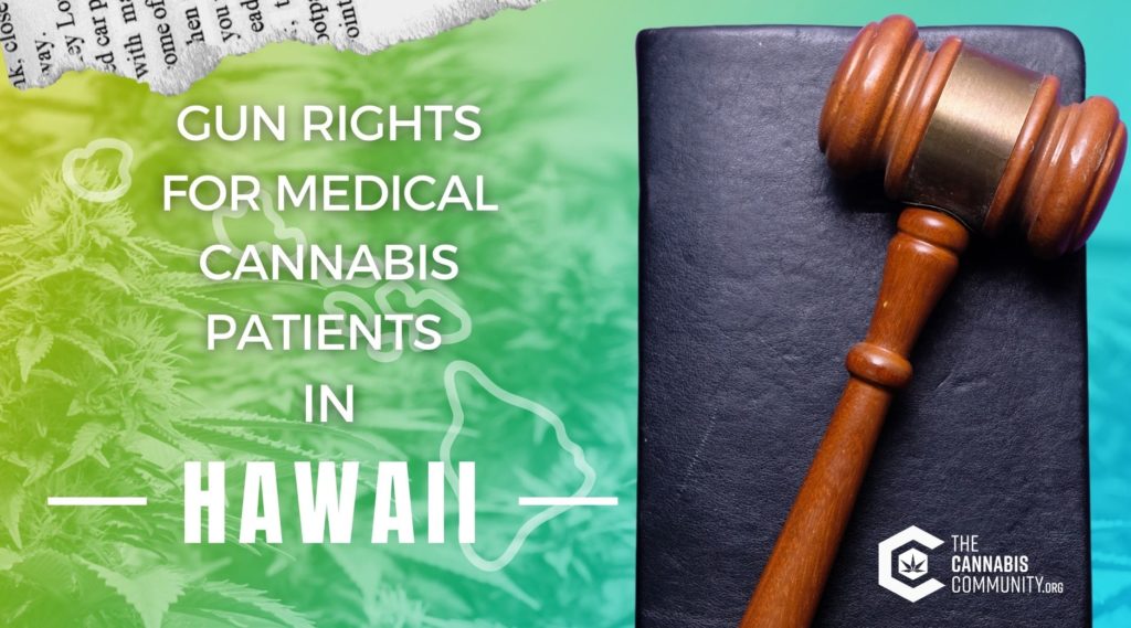 what gun rights do medical cannabis patients have in hawaii?