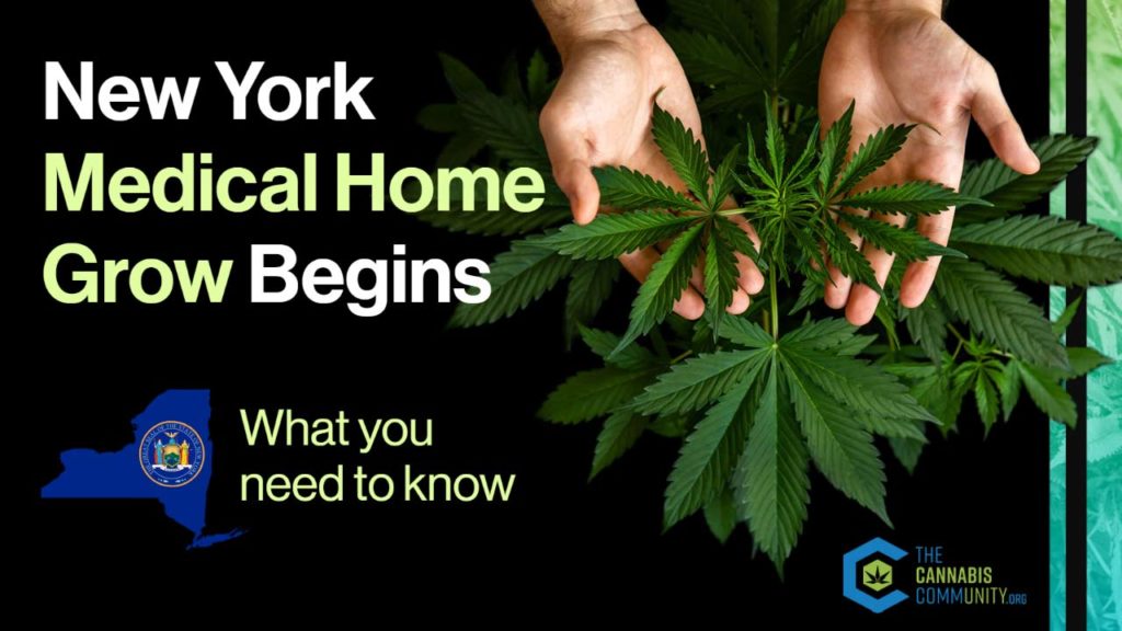 New York Medical Home Grow Begins