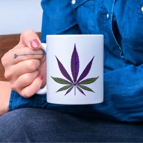 Cannabis-Themed Gifts by Recipient and Budget