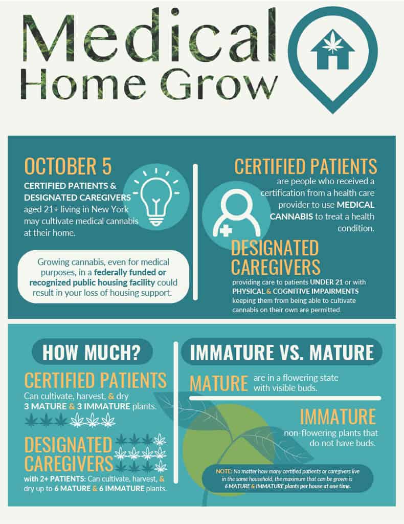 medical home grow1024 1