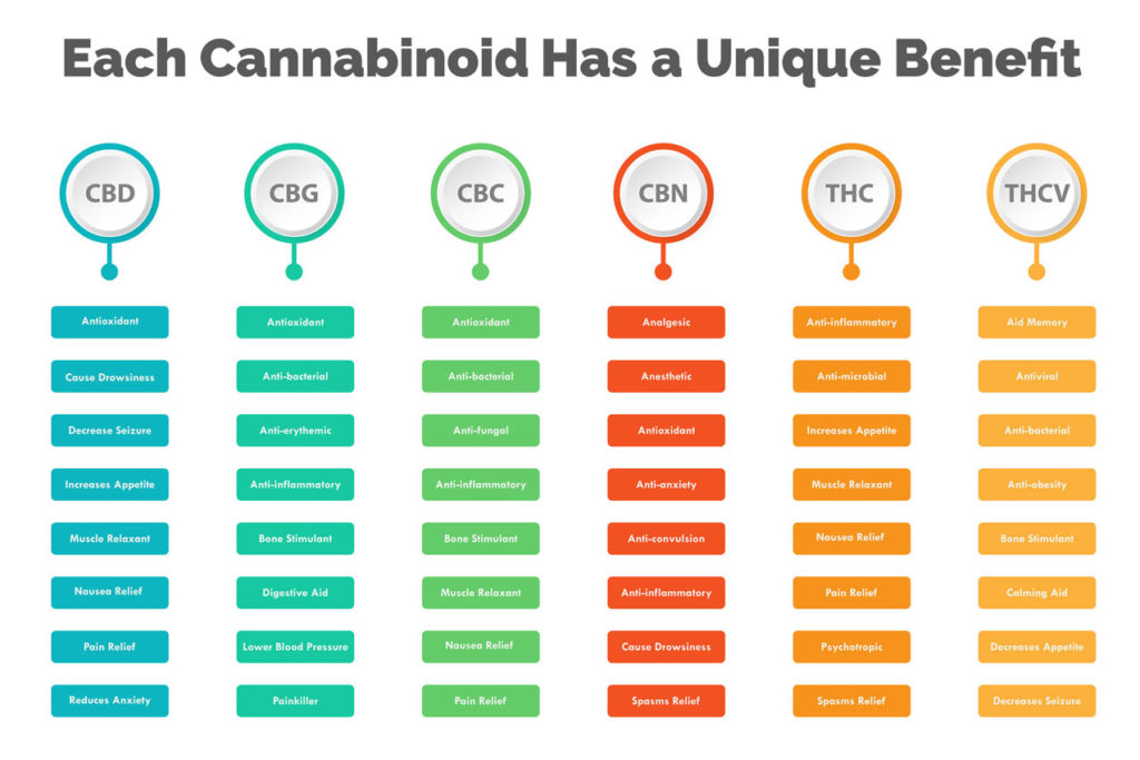 Lesser-known cannabinoids all have unique health benefits. Don't limit yourself to THC. Look into CBD, CBG, CBC, CBN, and THCV.