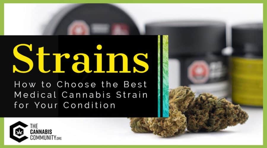 How to Choose the Best Medical Cannabis Strain for Your Condition The