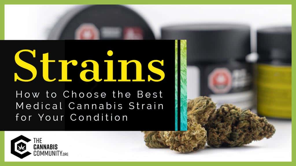 how to choose the best medical cannabis strain for your condition