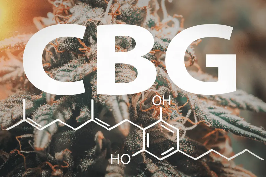 This photo shows a cannabis flower in the background with white text over it that says CBG, and includes its chemical compound. 
