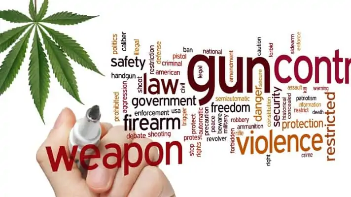 Cannabis leaf with a collage of gun rights and and gun control words.