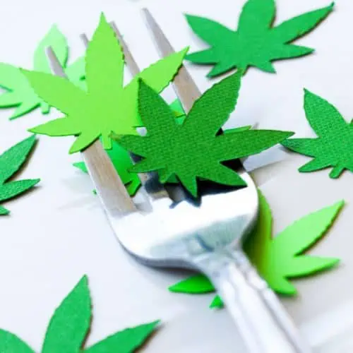 A fork has green paper cannabis leaves on it.