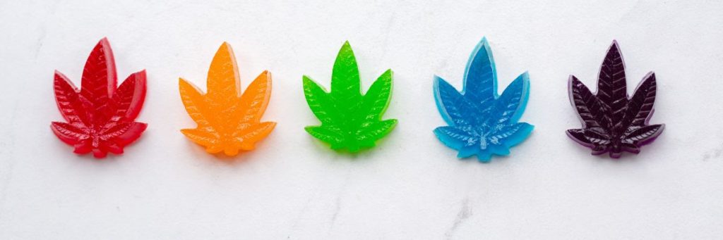 A rainbow colored selection of annabis leaf gummy edibles. 