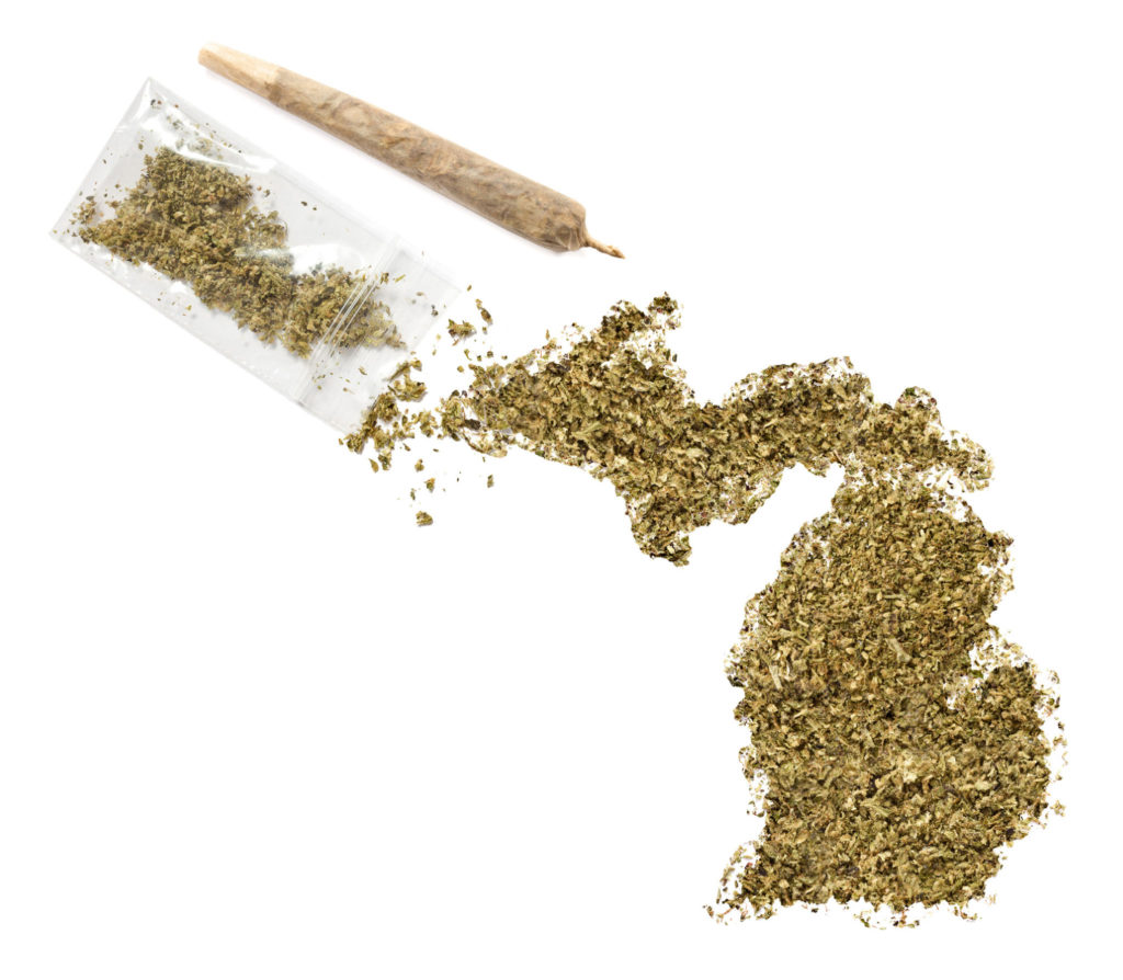 Michigan became the 13th state to allow medical marijuana. The state of Michigan is drawn out using ground flower. 