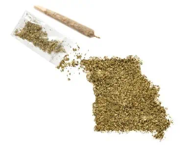 Cannabis spread out on the table in the shape of Missouri. 