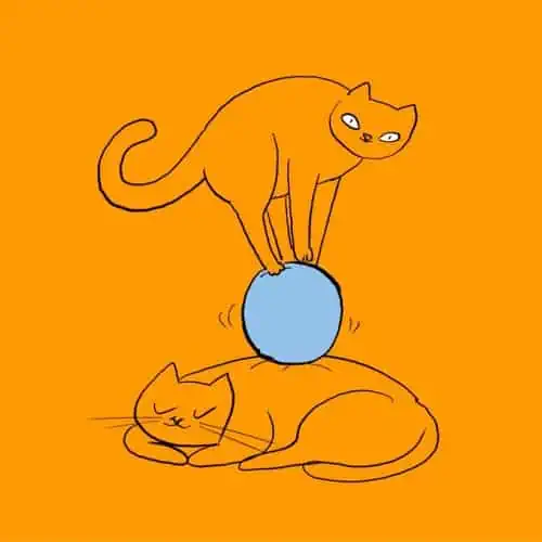 A playful cartoon cat sits on top of sleeping cat, Sativa vs Indica 