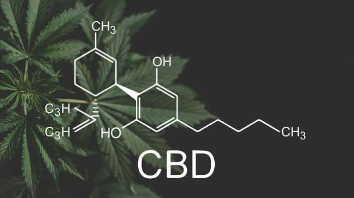 Nonpsychoactive CBD in Cannabis stands for cannabidiol