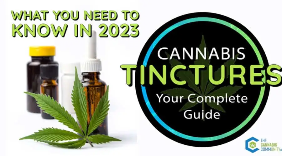 Guide to Cannabis Tinctures – What You Need to Know in 2023