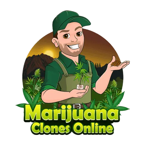 Marijuana Clones Online Logo