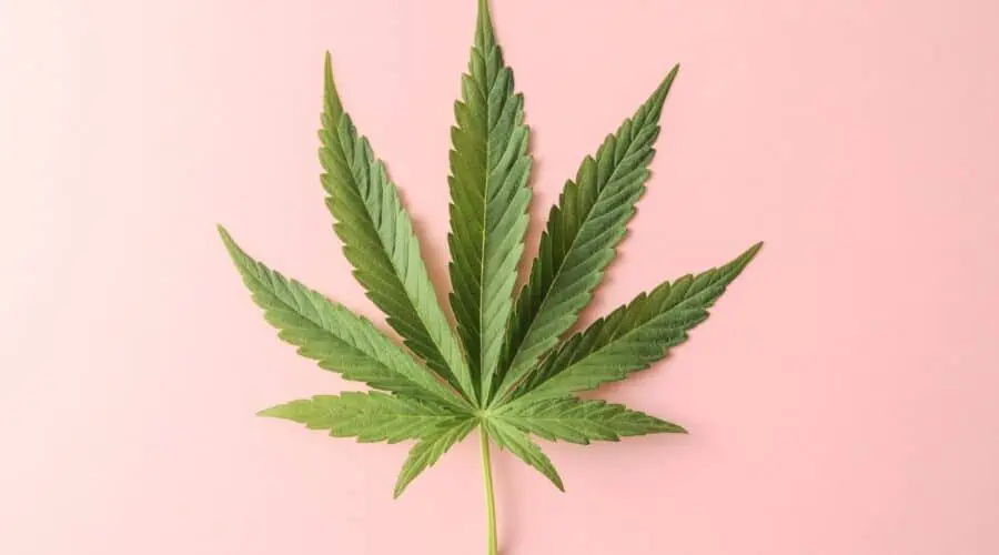 420 Holiday Buyer’s Guide: Shop the Best Cannabis Gifts for 2023