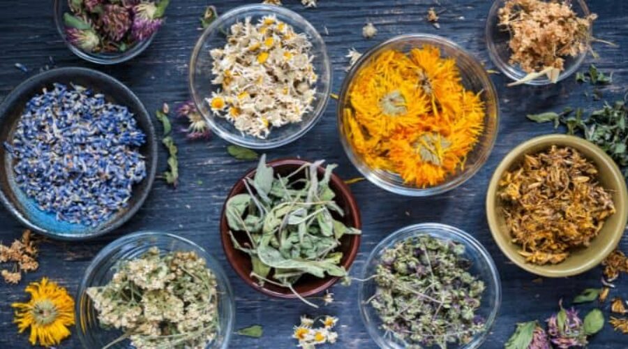 What Are Adaptogens? A Natural way to Increase Your Energy Levels