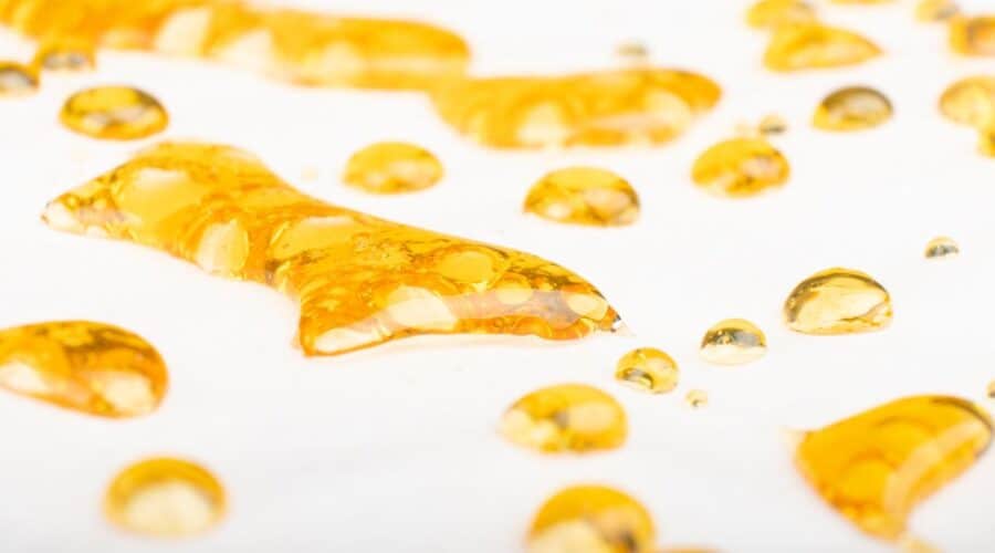 The Supreme Guide to Cannabis Concentrates and Everything You Need To Know