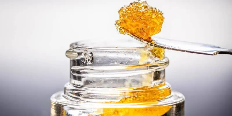 This photo depicts a metal tool scooping out a cannabis live resin concentrate out of a small glass like container