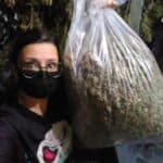 This image features a photo of Kayleigh Jump holding up a bag of hemp flowers.