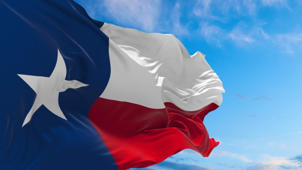This photo depicts the flag of texas, waving effortlessly in the winds against the sky as a background.