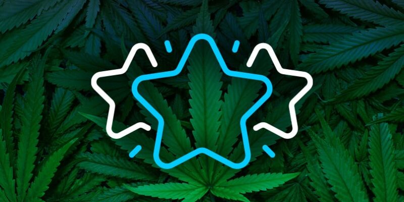 a cannabis community directory featuring a star logo with cannabis leaves in the background.