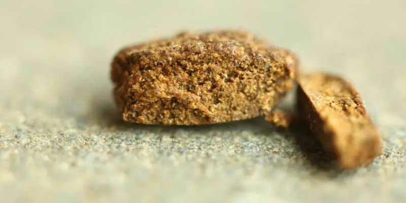 This photo features a traditional cannabis concentrate known as hash, otherwise known as hashish. It's brown colored brownie looking chunk is cut, allowing you to see the sandy texture inside.