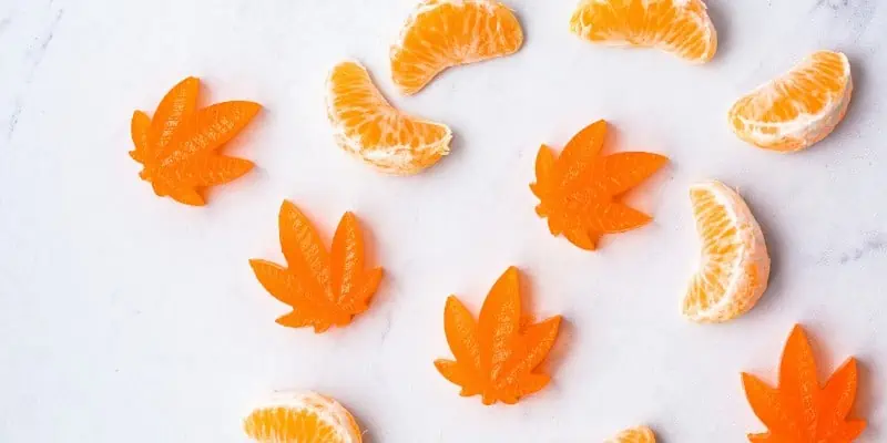 On a white granite background, this image displays 5 marijuana shaped orange gummies, mixed with another 6 small slices of oranges, indicating the flower of the cannabis edibles.