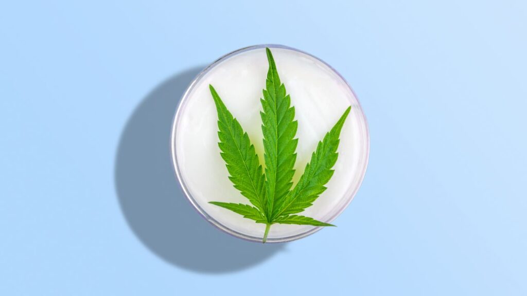 Placed against a sky-blue background, the picture shows a white cannabis-infused lotion with a leaf on top.