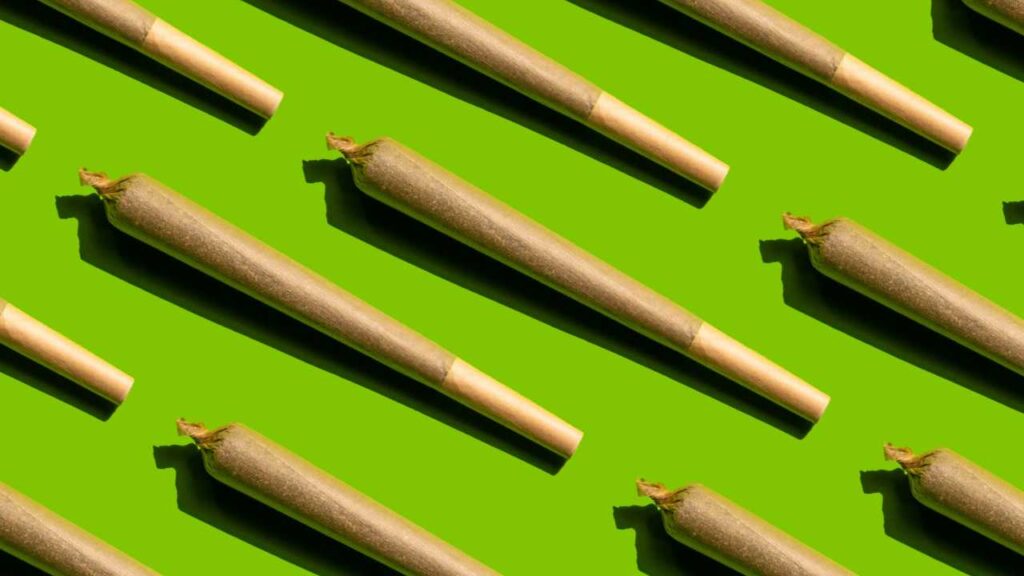 Featuring a bright lime green background, this image shows a series of cannabis pre-rolled joints all facing in a slanted in an upper left direction.