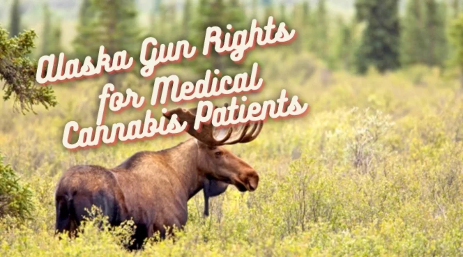 Alaska Gun Rights for Medical Cannabis Patients