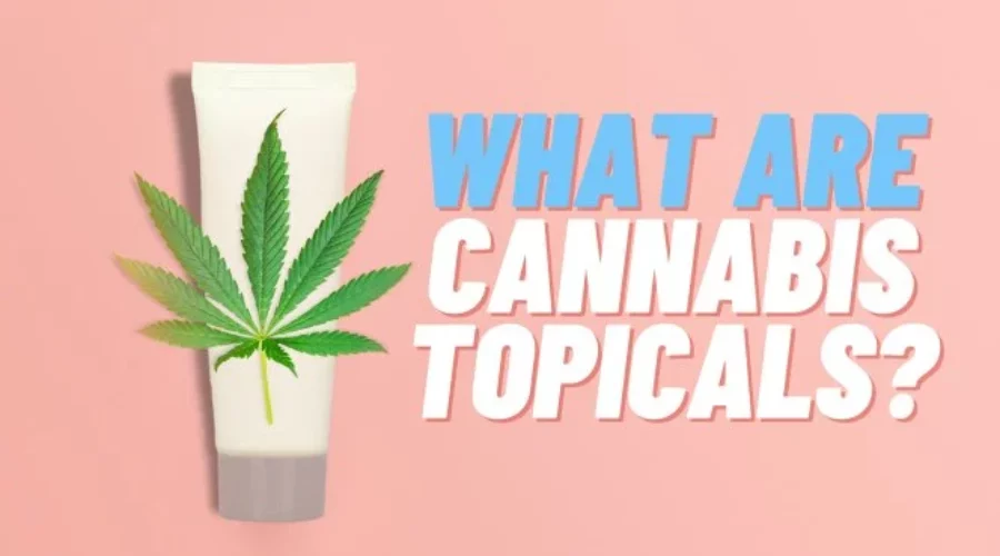 Guide to Cannabis Topicals – Here’s What You Need To Know