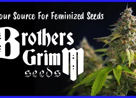 Brothers Grimm Feminized Seeds