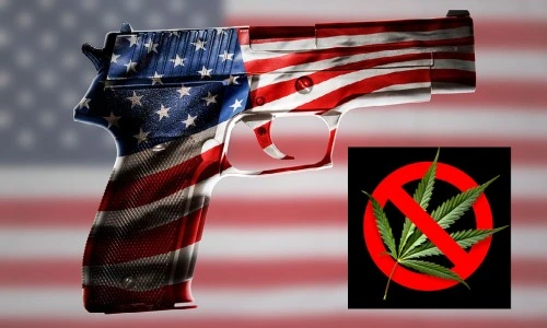 Federal law prohibits cannabis/marijuana users from purchasing or owning guns.