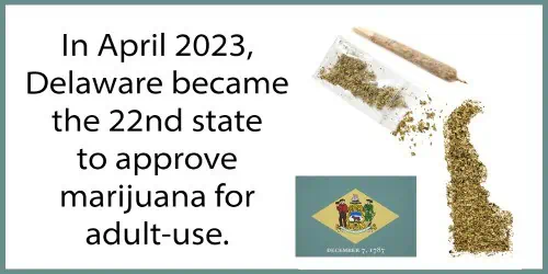 Delaware state shape drawn out with ground cannabis flower depicting Delaware's legalization in April 2023.