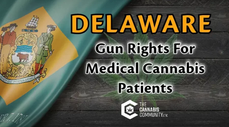 Delaware Gun Rights for Medical Cannabis Patients