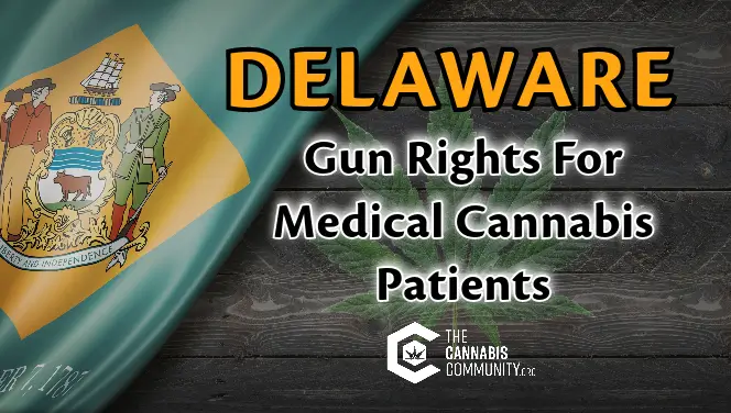 Gun Rights for medical cannabis patients deep dive into laws.