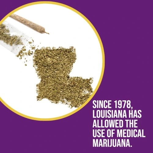 louisiana gun rights for medical cannabis patients