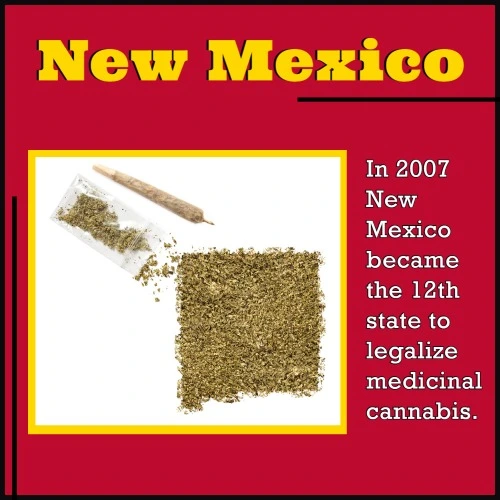 State shape drawn in weed represents the passing of New Mexico medical cannabis use in 2007.