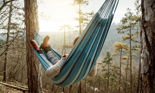 A hiker relaxes in a hammock in a forest facing the setting sun. The Pinene terpene may help you relax.