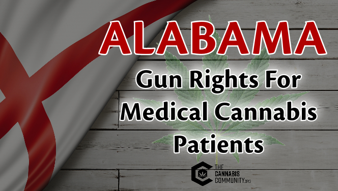 Alabama gun rights for medical cannabis patients.