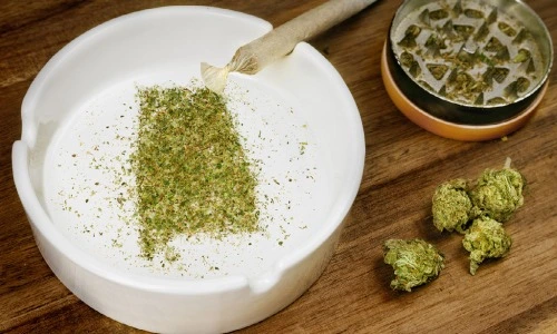 A photo of a white ashtray sits on a wood table. Green ground up cannabis is arranged inside to look like the shape of Alabama. A grinder and two cannabis buds can be seen on the right side. 