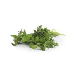 Parsley leaves on a white background.