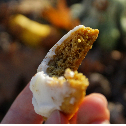 Close up of the texture of a cannabis infused pumpkin cookie with buttercream frosting.