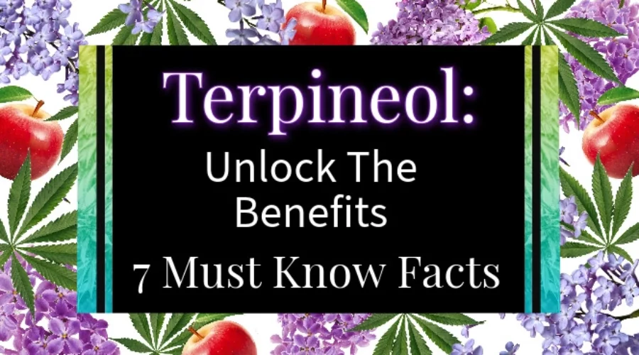 Unlock the Benefits of Terpineol: 7 Must-Know Facts About This Cannabis Terpene