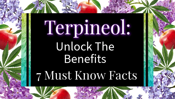 Unlock the Benefits of Terpineol: 7 Must-Know Facts About This Cannabis Terpene
