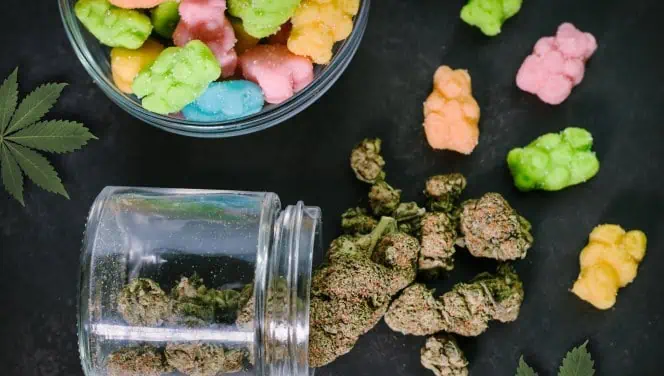 Recipe: Cannabis Gummy Bears with Vegetable Glycerin