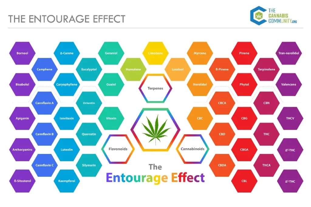 The entourage Effect: A rainbow of hexagons all named for terpes, flavonoids and cannabinoids that work together. 