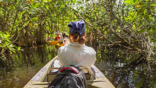 A woman navigates the everglades swamps in a kayak, symbolic of navigating the complex and tricky cannabis legislative environment in Florida