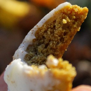 A scrumptious frosting covered cannabis infused pumpkin cookie with a bite taken out of it