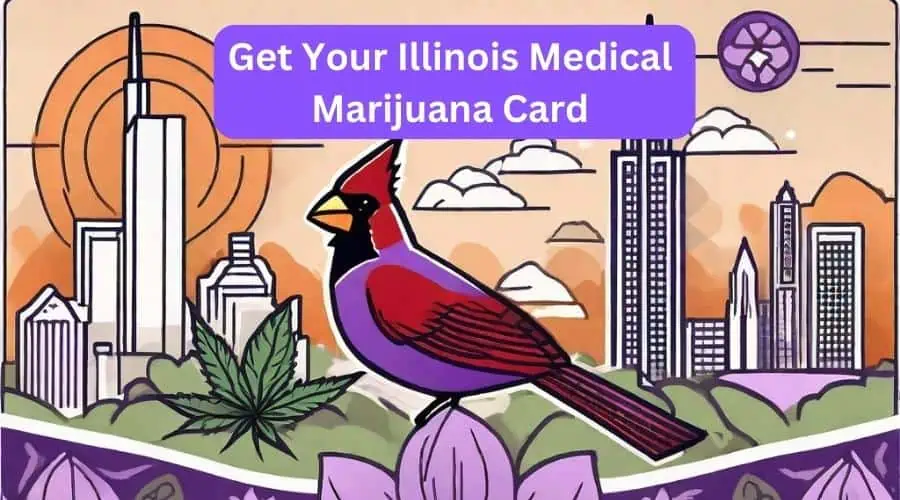 Get your Illinois medical marijuana card is displayed on a purple banner to help people get their medical marijuana card in Illinois. The banner is displayed against a chicago centric banner featuring a red cardinal.