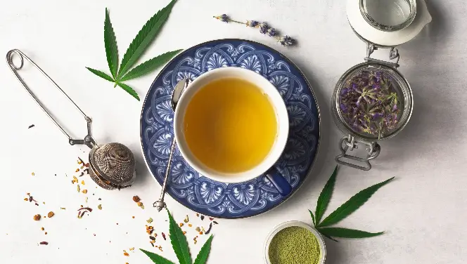 Linalool terpene in cannabis and lavender shown as infusing in tea.
